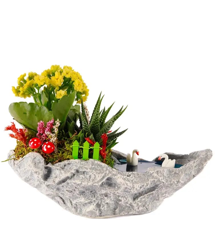 Marineris Serisi Haworthia ve Kalanchoe Teraryum - Yozgat çiçek siparişi