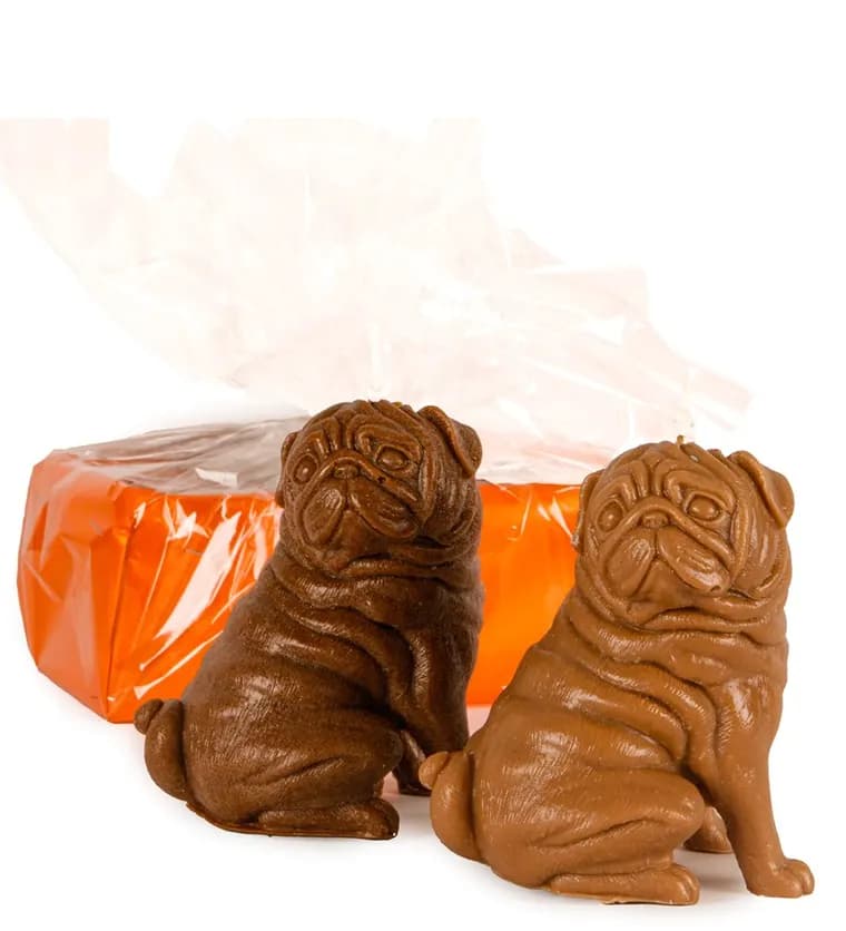2'li Kahverengi Pug Mum Tasarım - Sivas çiçek siparişi
